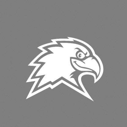 CMC Swoop logo grey for photo placeholder