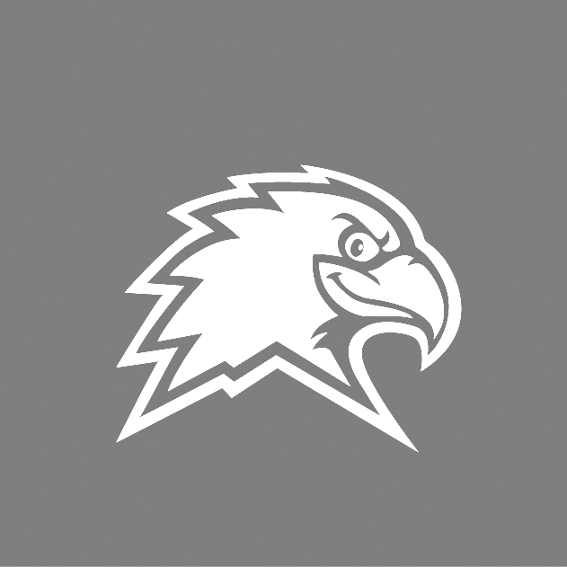 swoop image placeholder CMC Swoop logo grey for photo placeholder